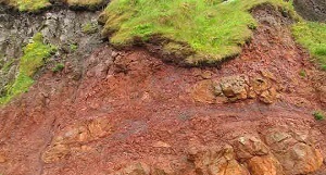 laterite soil